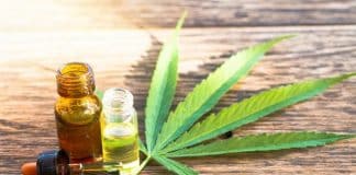 CBD Beneficial in Cerebral Palsy