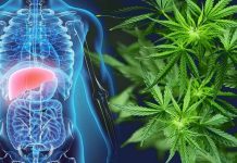 CBD Help in Liver Disease