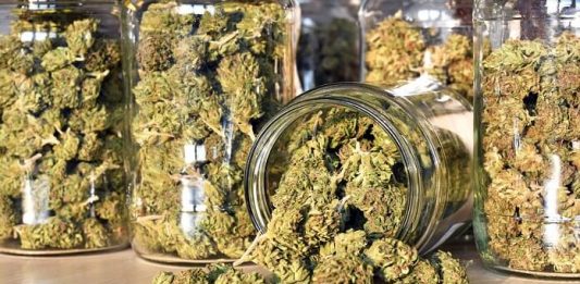 Cannabis Market
