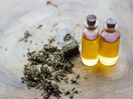 Lose Weight With CBD