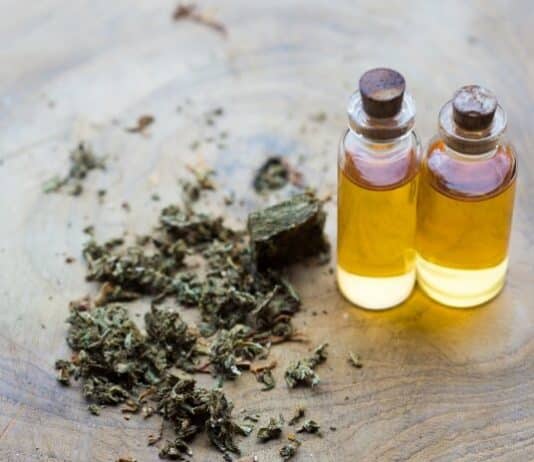 Can You Lose Weight With CBD? Lose Weight With CBD