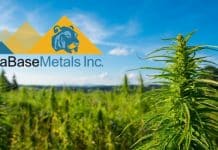 AsiaBaseMetals Inc. Offers Cannabis Sector Progress Update In EU