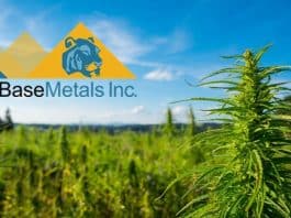 AsiaBaseMetals Inc. Offers Cannabis Sector Progress Update In EU