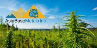 AsiaBaseMetals Inc. Offers Cannabis Sector Progress Update In EU