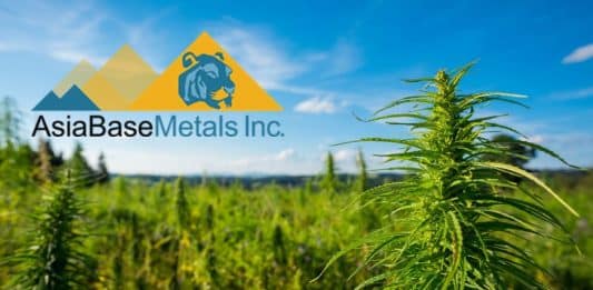 AsiaBaseMetals Inc. Offers Cannabis Sector Progress Update In EU