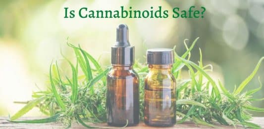 Are cannabis and cannabinoids safe