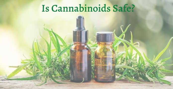 Are cannabis and cannabinoids safe