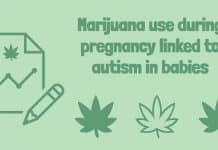 Use of Marijuana During Pregnancy Can Lead to Autism in Babies