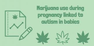 Use of Marijuana During Pregnancy Can Lead to Autism in Babies