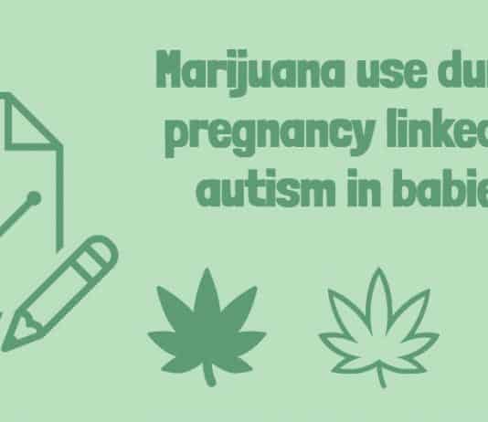 Use of Marijuana During Pregnancy Can Lead to Autism in Babies