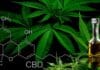 FTC Slaps Monetary Sanctions For False CBD Health Claims