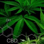 FTC Slaps Monetary Sanctions For False CBD Health Claims