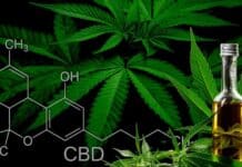 FTC Slaps Monetary Sanctions For False CBD Health Claims