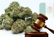Mexican Senate Puts Legalization of Marijuana on Hold