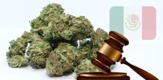Mexican Senate Puts Legalization of Marijuana on Hold