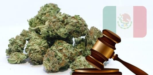 Mexican Senate Puts Legalization of Marijuana on Hold