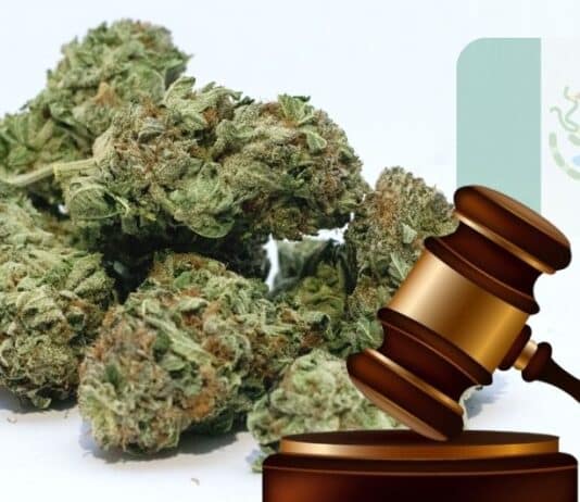 Mexican Senate Puts Legalization of Marijuana on Hold
