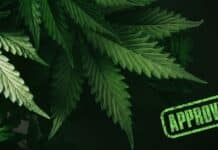 Rockland Gets Special Permit for Third Marijuana Dispensary