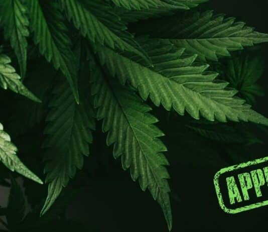 Rockland Gets Special Permit for Third Marijuana Dispensary